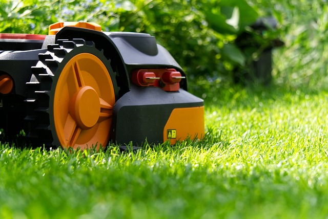 Spalio pabaiga: kaip paruošti vejos robotą žiemai, kad pavasarį jis įsijungtų nuo pirmo karto